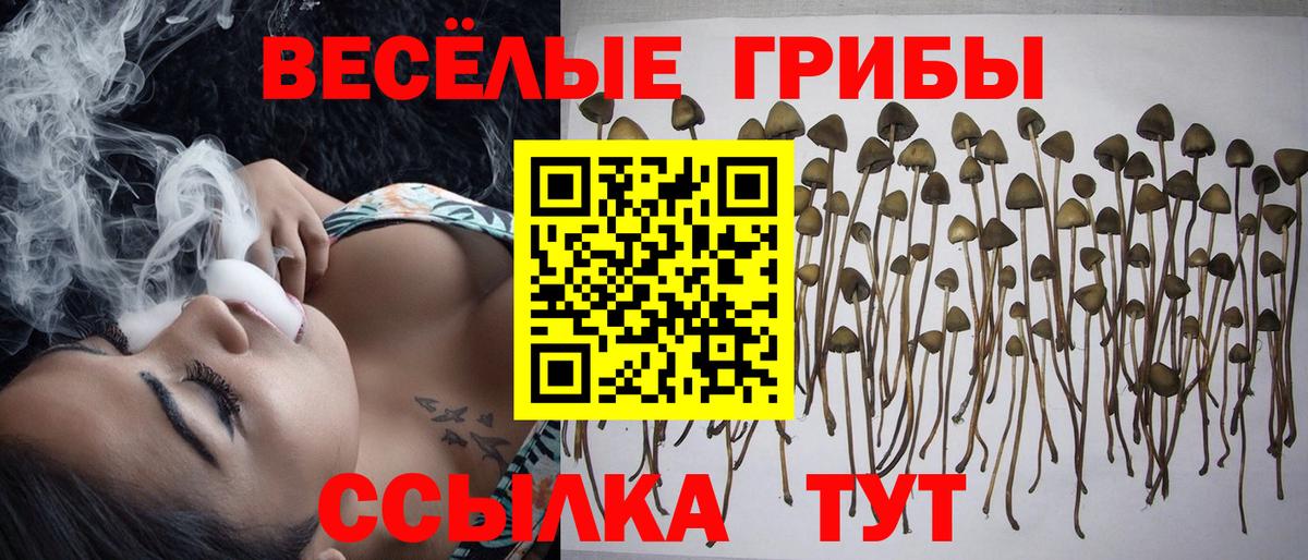Орск  Псилоцибиновые грибы Magic Shrooms  Вход с VPN  Псилоцибиновые грибы Cubensis 