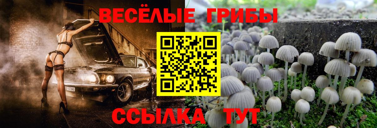 Галлюциногенные грибы прущие грибы Орск